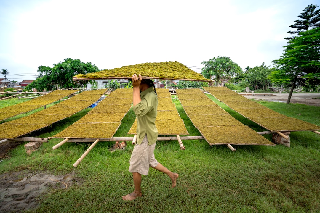 Photo Sustainable practices