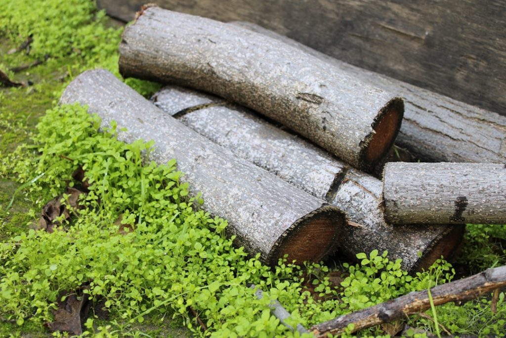 Photo ecological materials