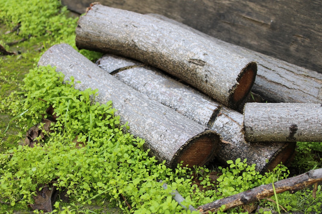 Photo ecological materials