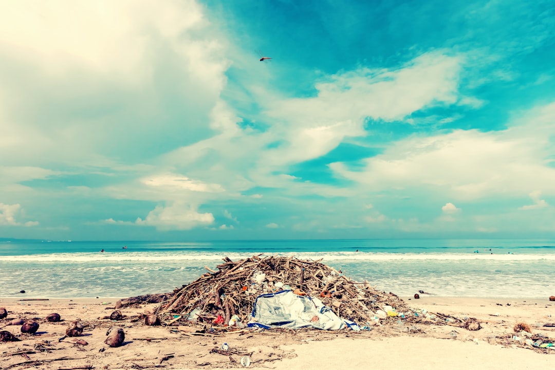 Photo reduzir impacto ambiental