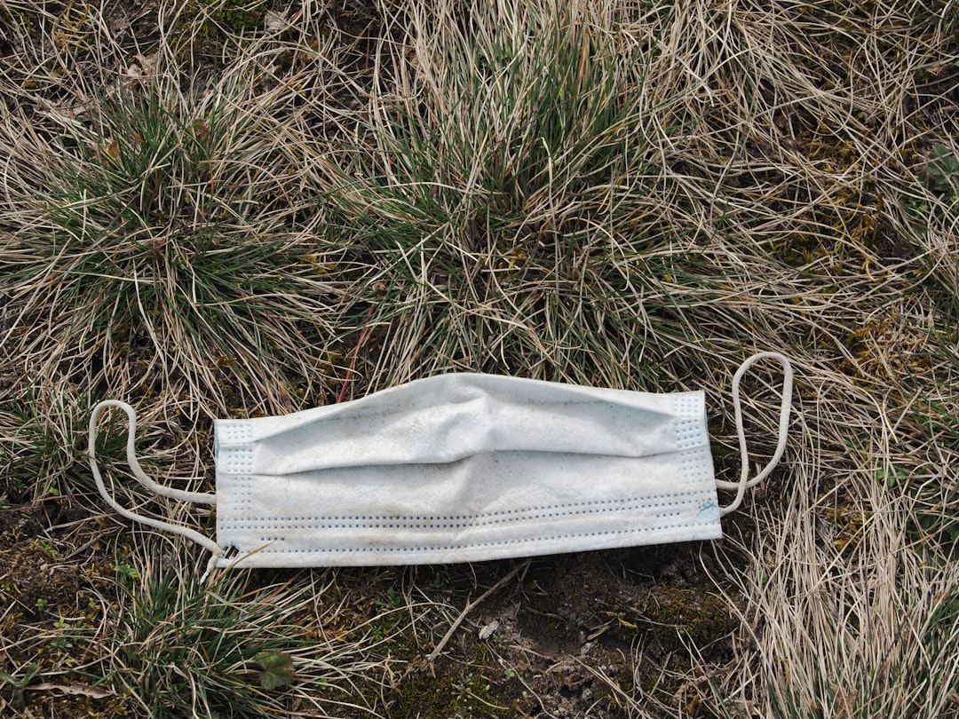 Photo Bolsa de Grife Feminina